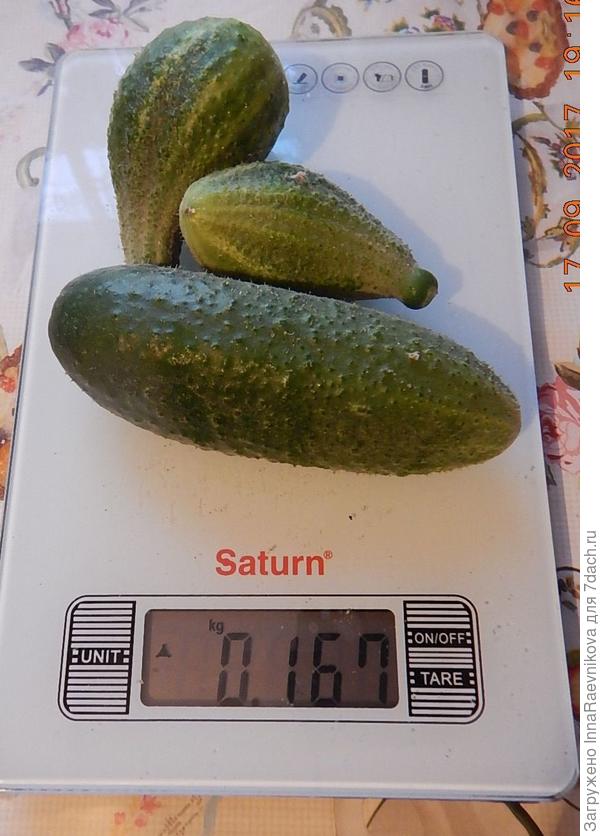 167 гр