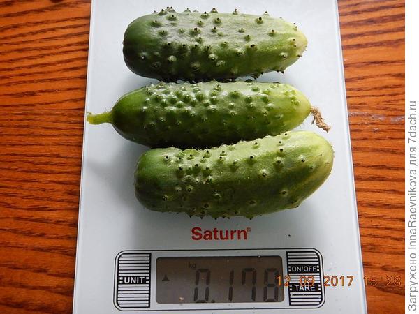 178гр