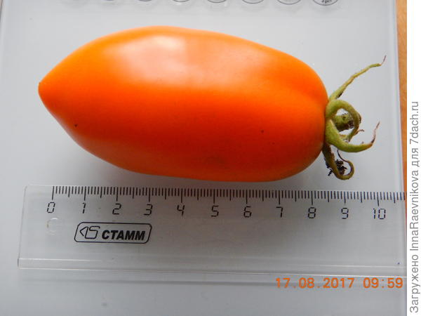 9см