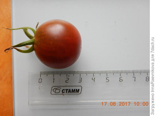 3 см