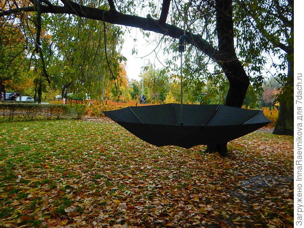 На просушке