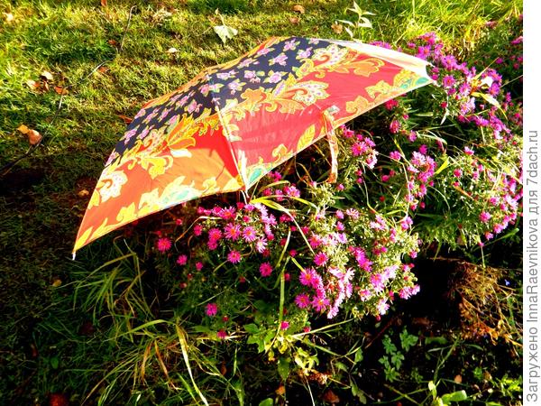 Я вас прикрою от дождя