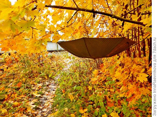 Мы тоже любим в золоте купаться