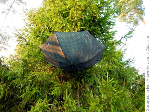 Куда залез, давай слезай