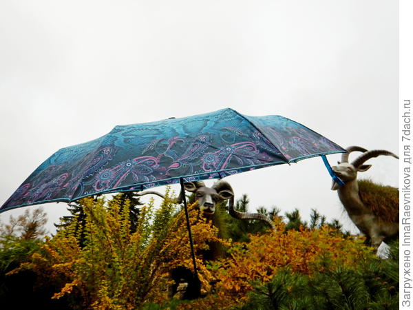 К козлам на скалы взгромоздился