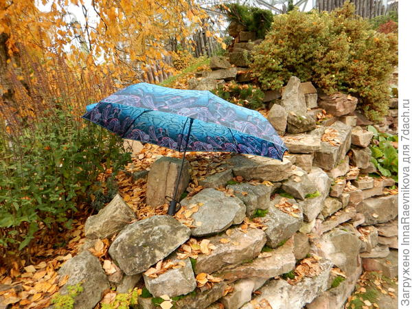 Не успела в руки взять, как зонт отправился гулять