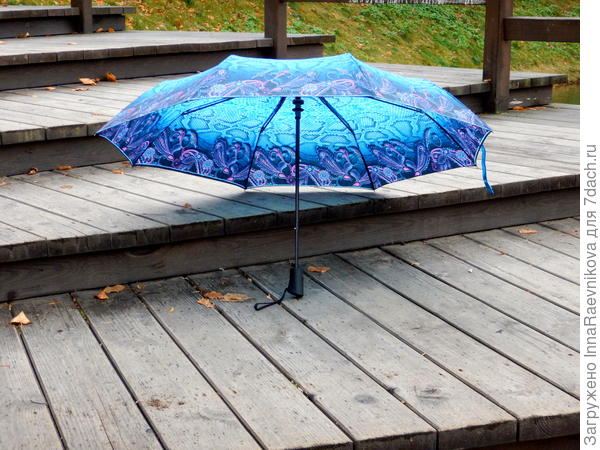 По ступенькам спрыгнул вниз