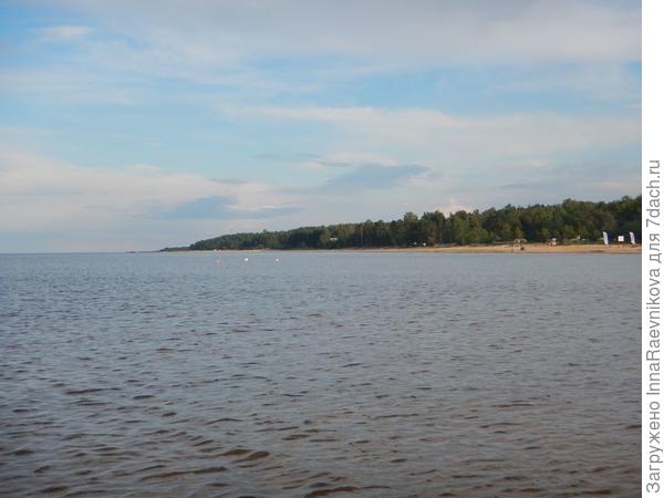воды по колено