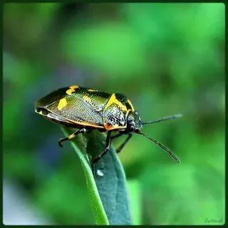 фото из интернета