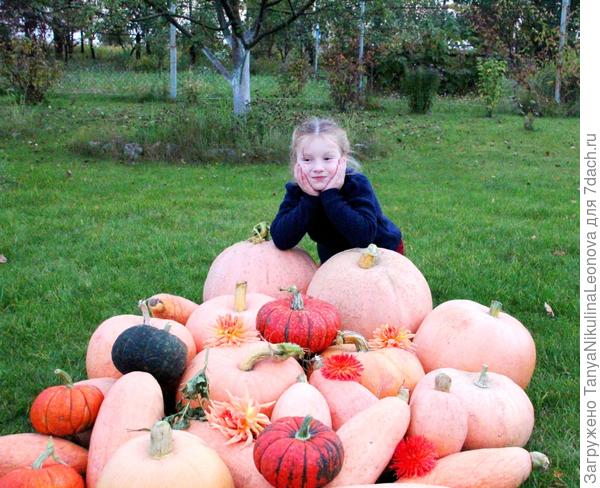 Маша и тыквы