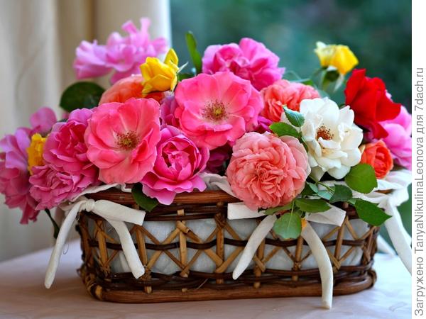 Поздравляю!