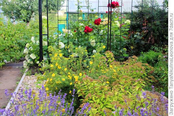 решетка для роз