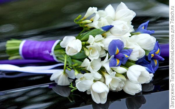 Поздравляю!!!