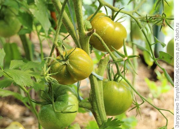 Ирландский ликер