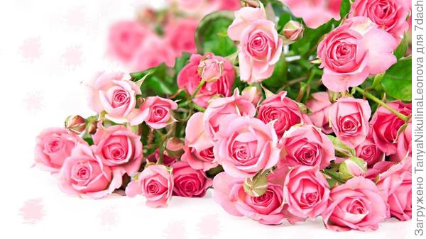 Поздравляю победителей!!!