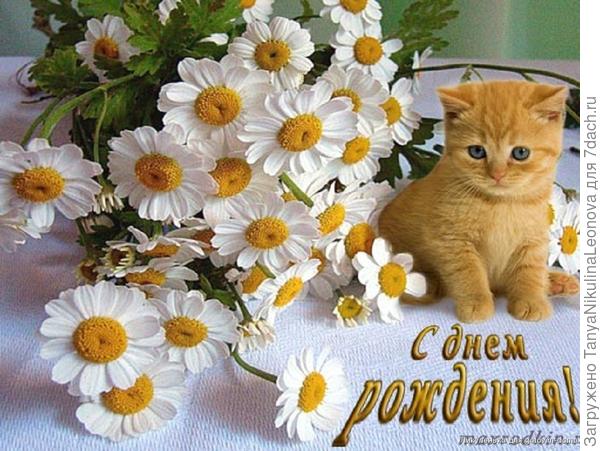 Ирина, поздравляю!!! Добра и счастья Вам!!!