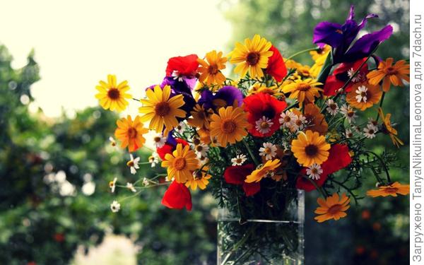 Поздравляю!!!