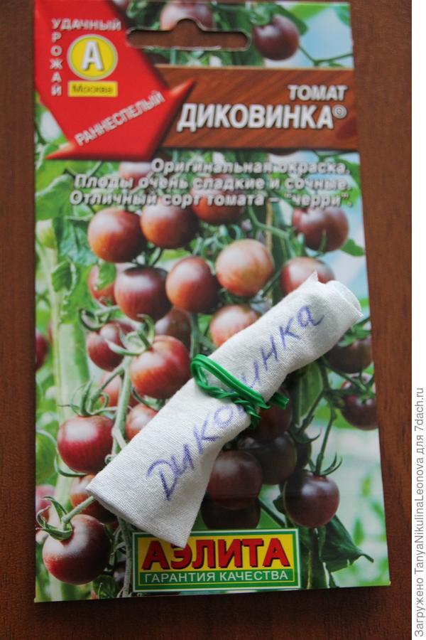 перед обработкой