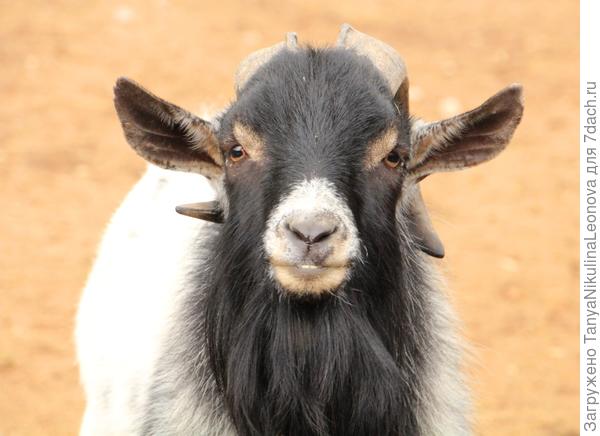 Взгляд с улыбочкой