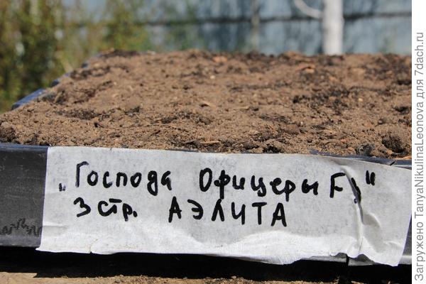 подпись