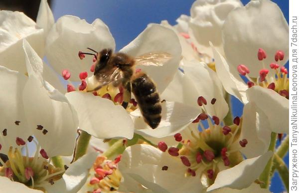 И красиво и вкусно!