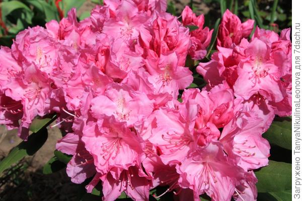 Поздравляем!!!