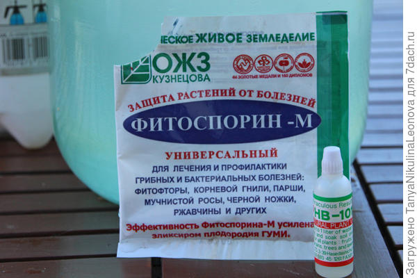 препараты