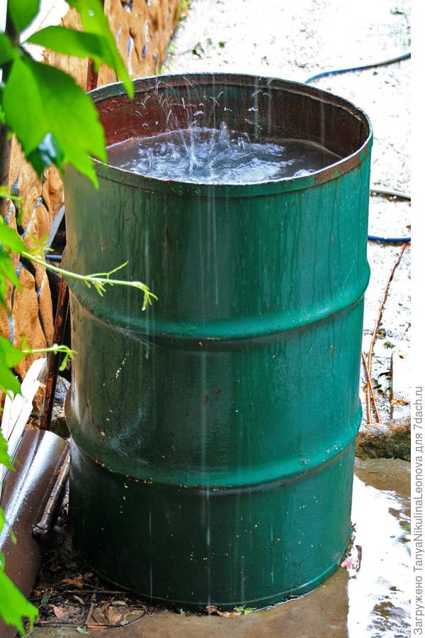 В это лето воды хватает!