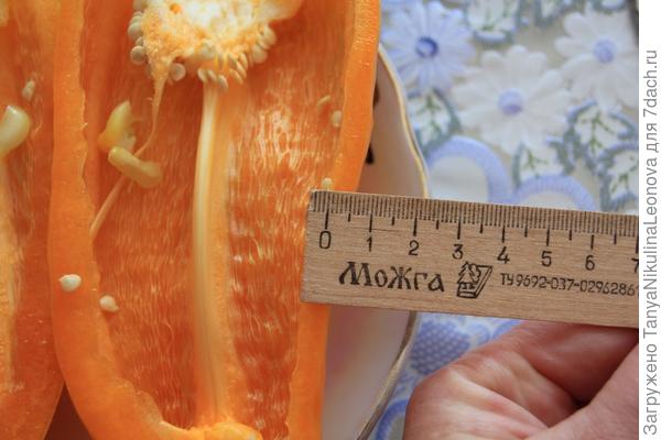 Толщина стенки