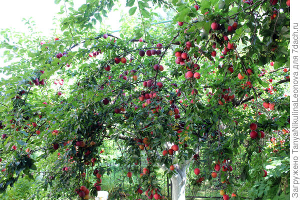 В этом году