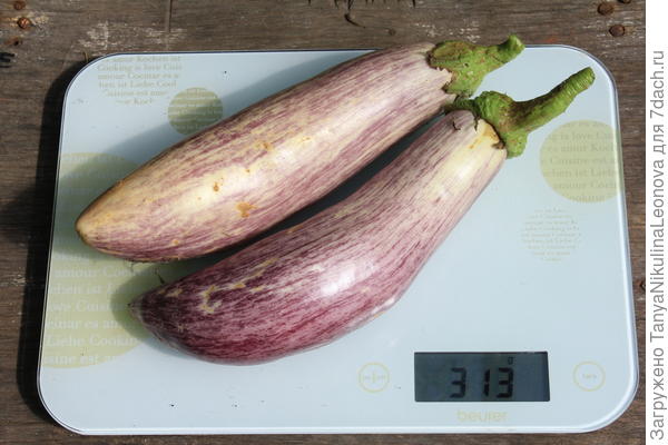 18.08