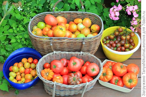 В конце августа