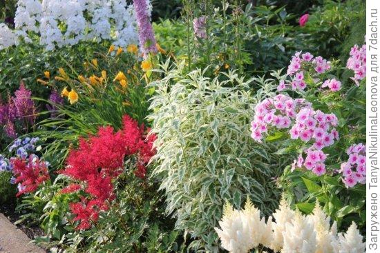 Питерский сад Юрия Марковского