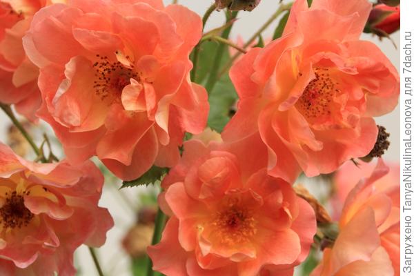 Поздравляю!