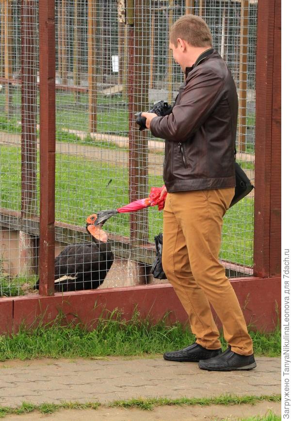 Не дразните зверей!