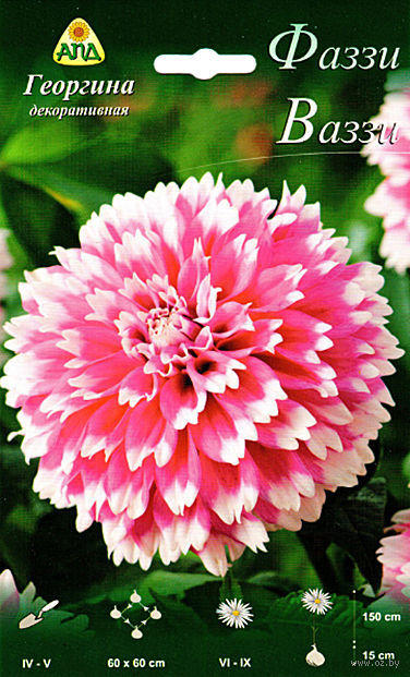 Фаззи Ваззи