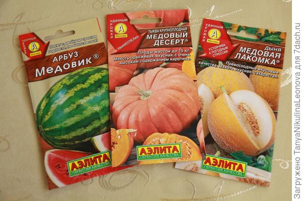 тыква , дыня и арбуз