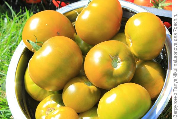 Спелый, сладкий &quot;Ирландский ликёр&quot;