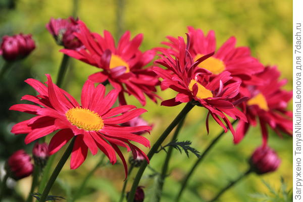 Поздравляю!!!