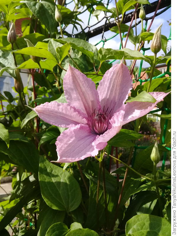 Поздравляю!!!