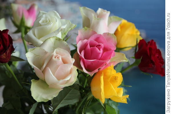 Поздравляю!!!