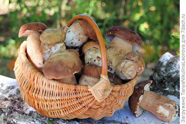 Поздравляю с победой!!!