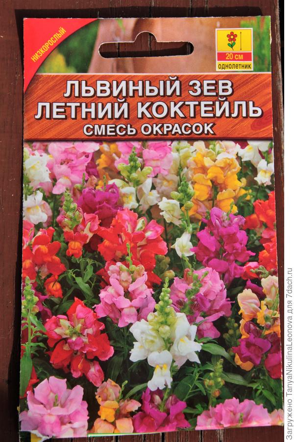 Летний коктейль от Аэлиты