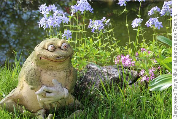 Лягушка уже немного побитая, поклеенная, но любимая...