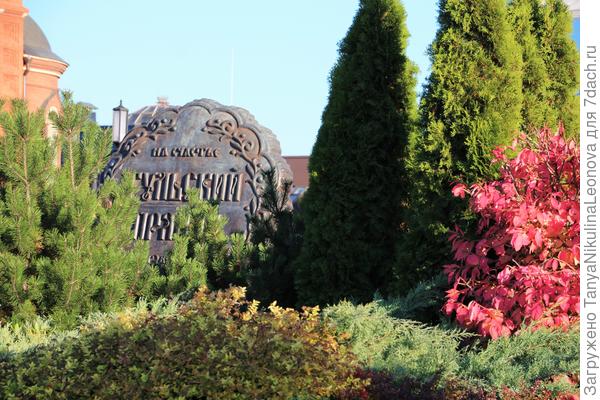 &amp;quot;Пряник&amp;quot; в зелени)))