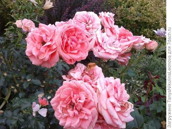 Поздравляю!!!!