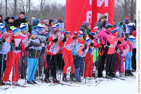 Лыжня России 2019 на старте