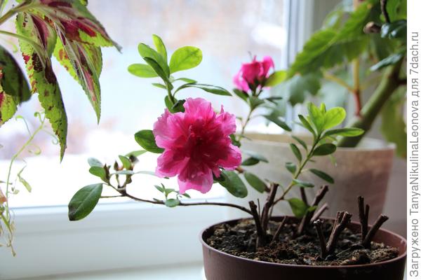 Всё что осталось...