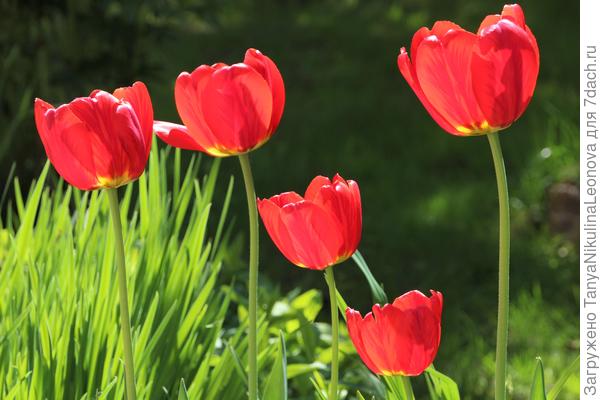 Поздравляю с победой!!!