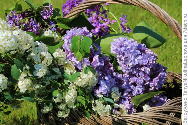 Поздравляю!!! Спасибо!!!